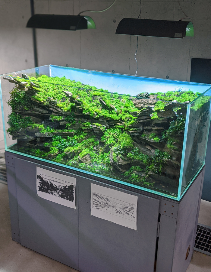 世界ランク19位の水草水槽の作り方 その4 京都精華大学水槽学部