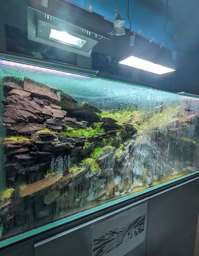 世界ランク21位の水草水槽の作り方 その5 京都精華大学水槽学部